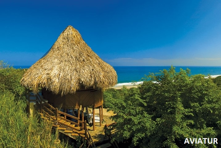 Ya puede comprar derechos de ingreso al Tayrona en línea Ya puede comprar derechos de ingreso al Tayrona en línea