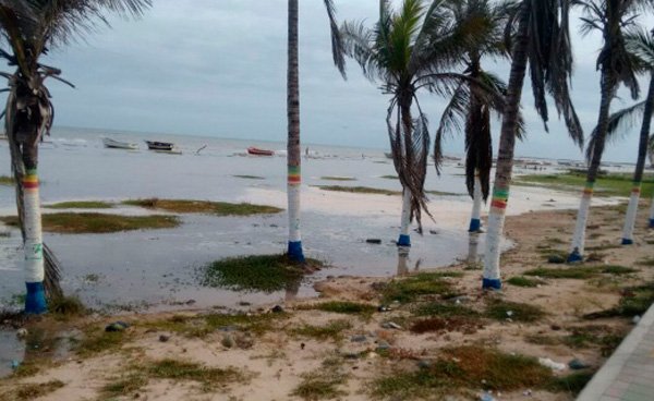 Arlene, Bret y Cindy son tres de las once tormentas que azotarán el Caribe Arlene, Bret y Cindy son tres de las once tormentas que azotarán el Caribe