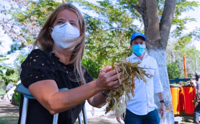 “En 2020, arrancó la revolución agroindustrial en el Atlántico”: Elsa Noguera “En 2020, arrancó la revolución agroindustrial en el Atlántico”: Elsa Noguera