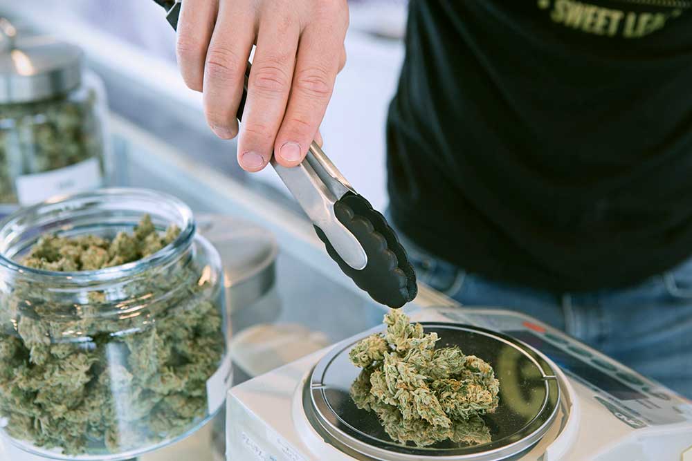 ¿Problemas para conseguir cannabis medicinal?, esta plataforma puede ayudarle cannabis medicinal